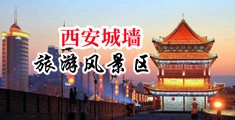 欧美操逼网址中国陕西-西安城墙旅游风景区